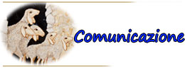 5 Comunicazione