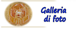 8 Galleria di Foto